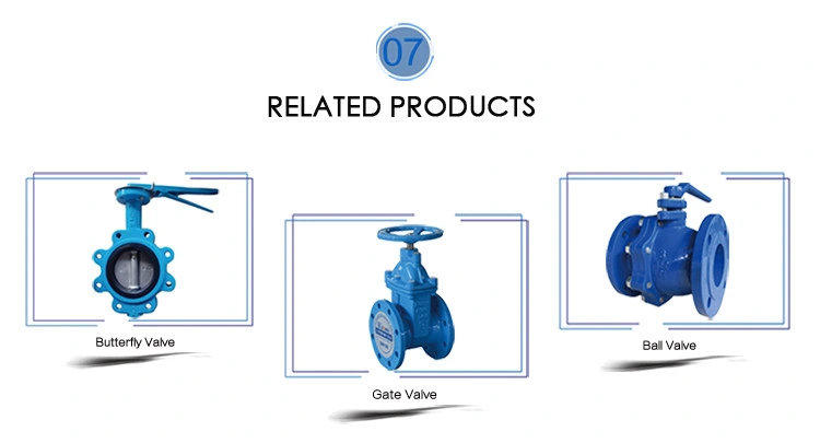 Cast Iron/Wcb/SS304 4 Inch Non Rising Resilient Seat Flanged Pn 16 Industrial Control Gate Valve