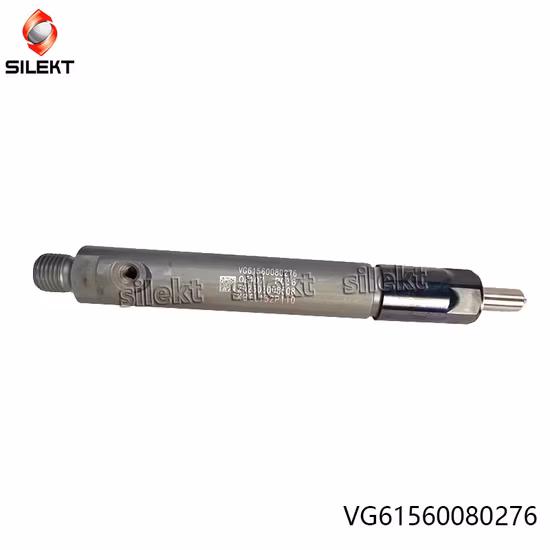 燃料噴射装置 Vg1560080276 61560080276 Weichai ユーロ II トラック エンジン部品ディーゼル燃料噴射装置 Wd615 Str Egr コモン レール ノズル Piunger